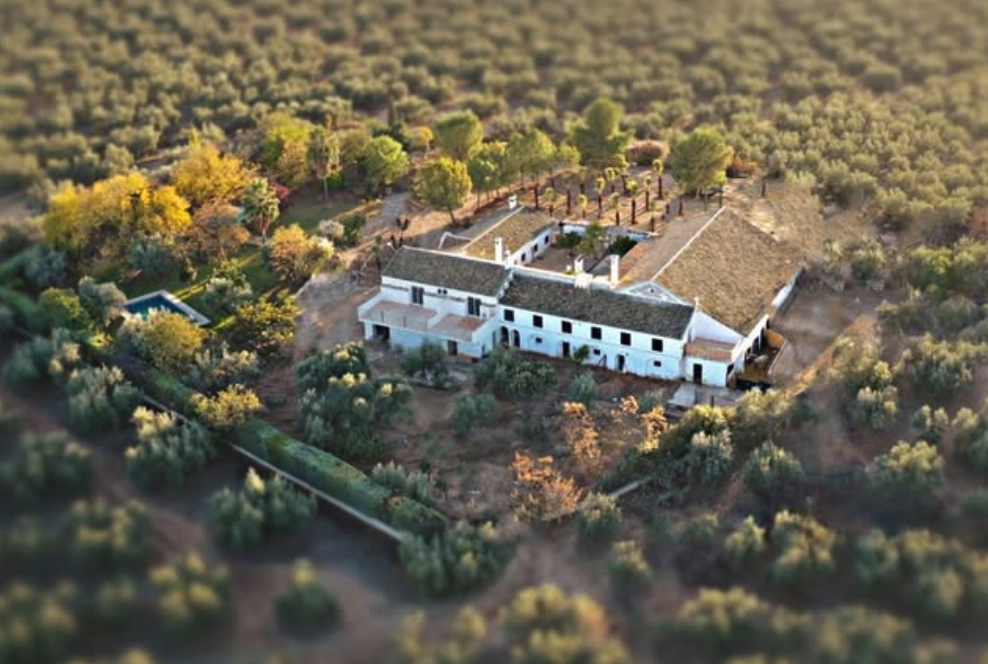 Vista aérea de la Hacienda Molino Nuevo en Algodonales, Cádiz, rodeada de olivos